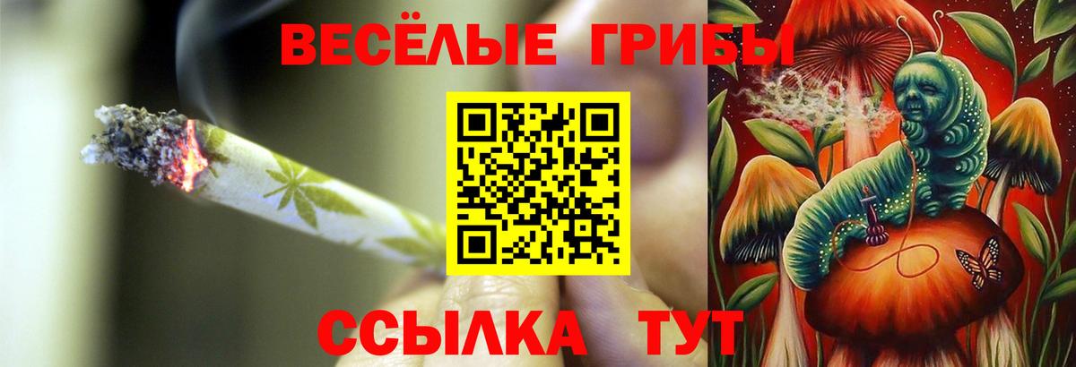 Озёрск  Псилоцибиновые грибы Cubensis  Вход с VPN 